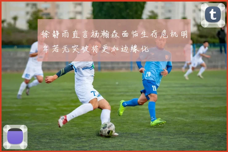 徐静雨直言杨瀚森面临生存危机明年若无突破将更加边缘化